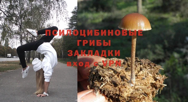 PSILOCYBIN Зеленодольск